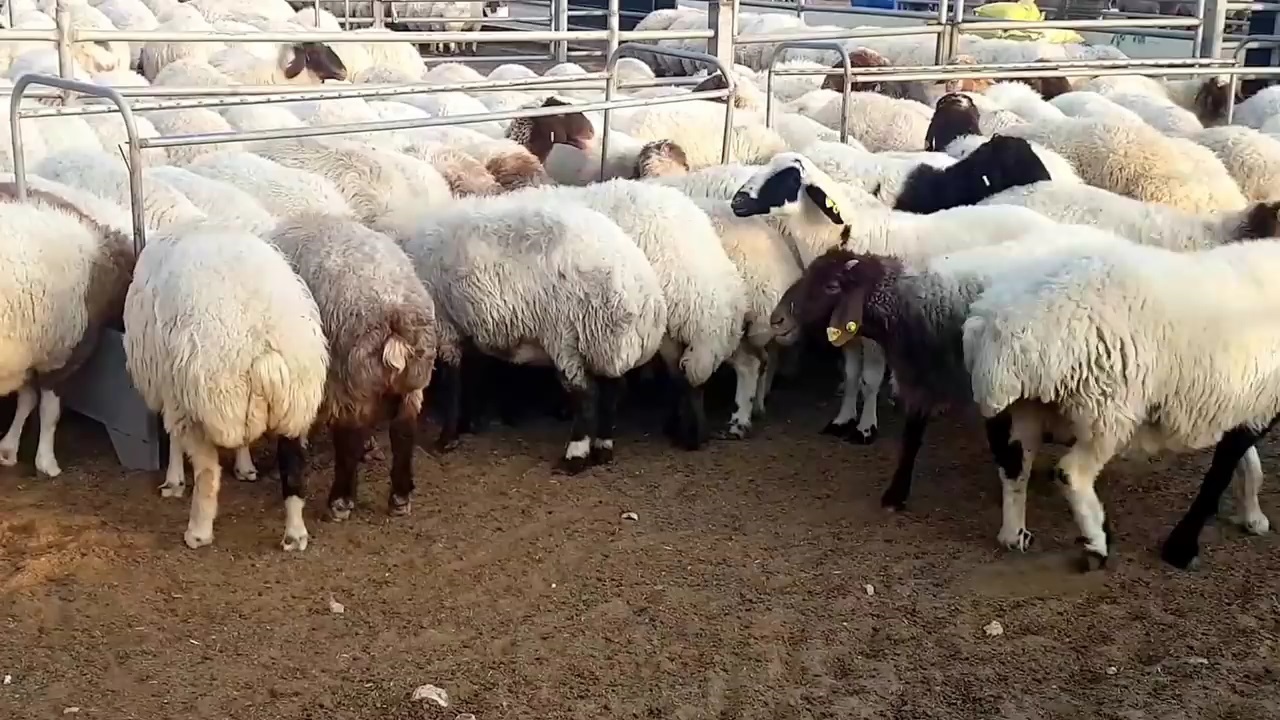AAAAAA